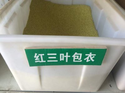 湖南哪里有賣紅三葉種子的？
