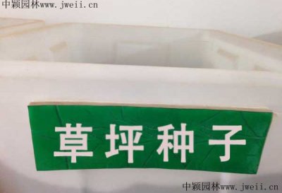 哪里有賣噴播草籽？