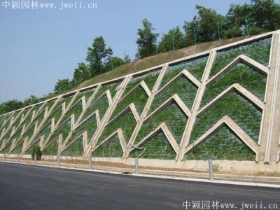 高速公路護坡常用草種？