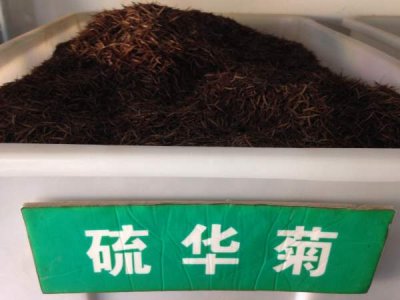 硫華菊種子報價哪家最便宜？