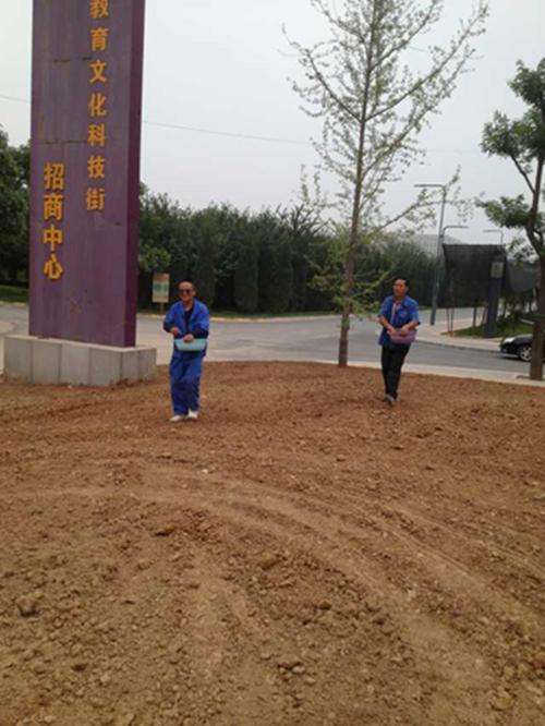 撒種圖片2.jpg