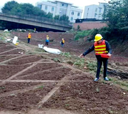 1538183838806253.jpg 撒種圖片1.jpg