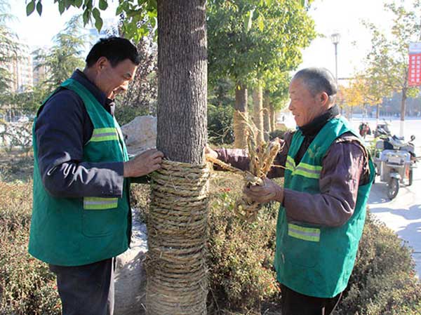 1564305625134615.jpg 20131121101249944.jpg