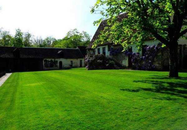 1564556223112037.jpg 草坪庭院4.jpg