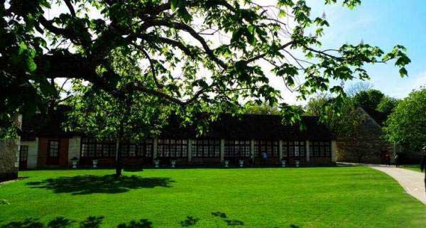 1564556240827659.jpg 草坪庭院5.jpg