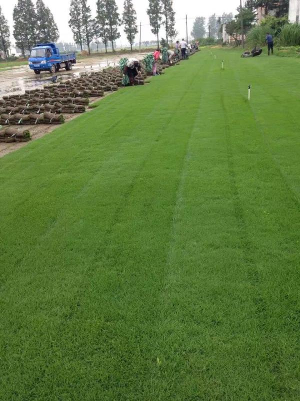 1564630852127857.jpg img_0903.jpg