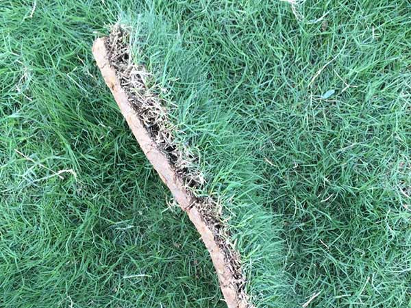 1565871391726157.jpg 百慕大8.jpg