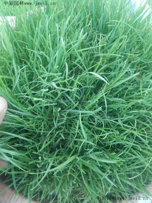 img_0851_副本 (1).jpg