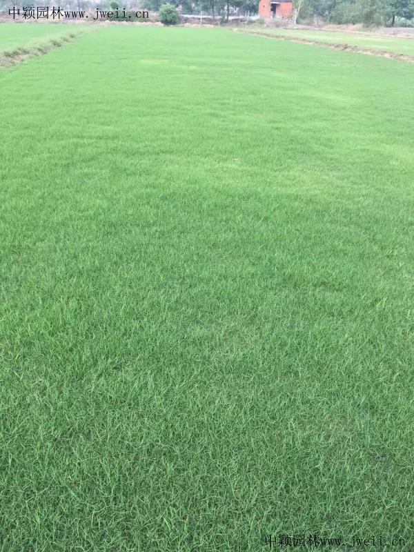 馬尼拉 (2)_副本.jpg