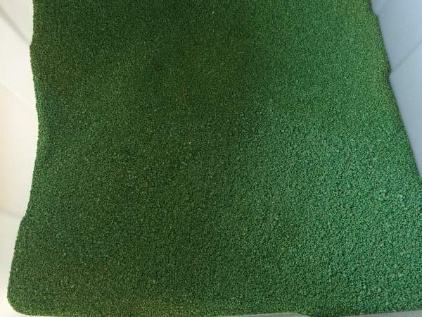 狗牙根包衣 (2).jpg