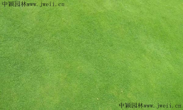 090 (5)_副本_副本.jpg