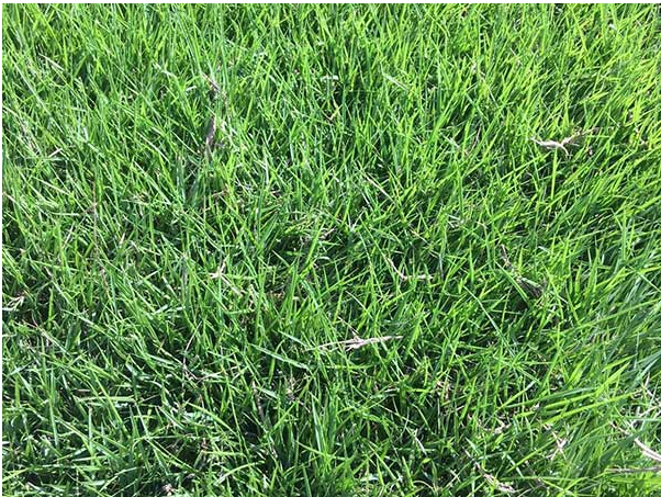 1567504578129157.jpg 1567504578129157.jpg