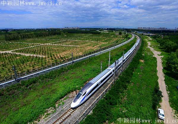 護坡_副本 (1).jpg