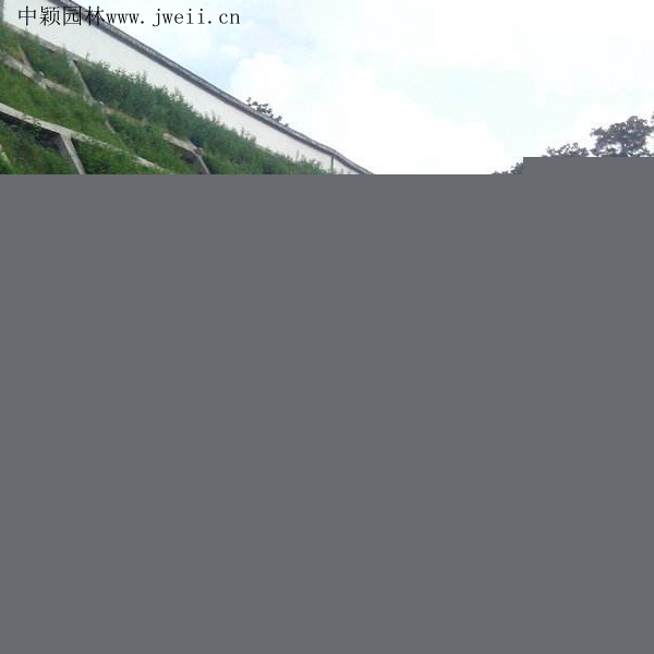 護坡8_副本 (1).jpg