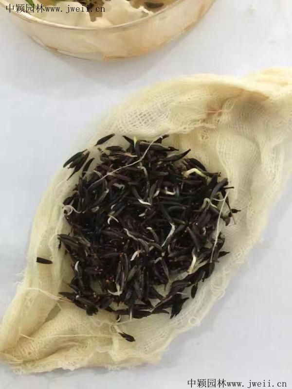 img_0865_副本 (1).jpg