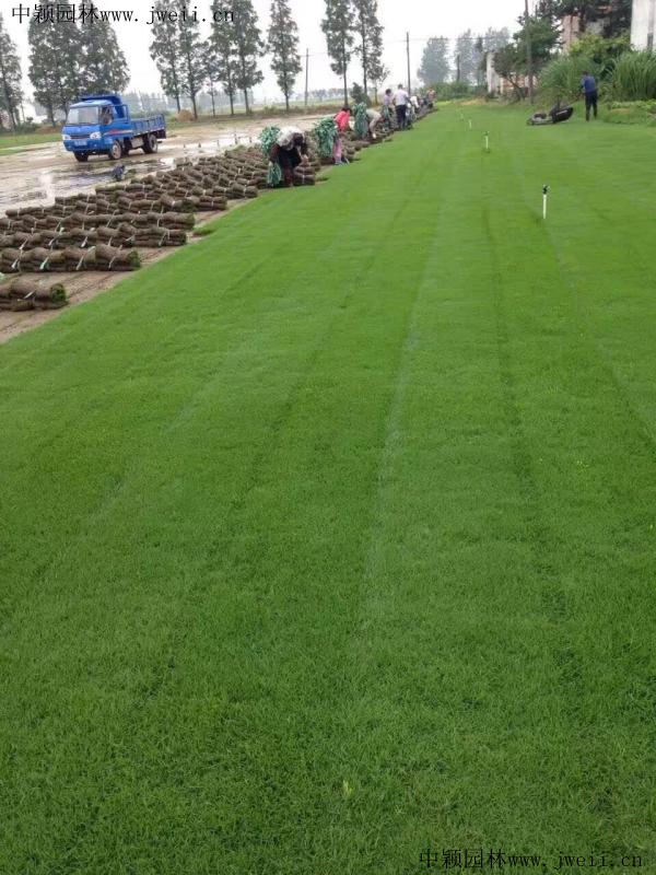 1568282301257721.jpg img_0903_副本.jpg