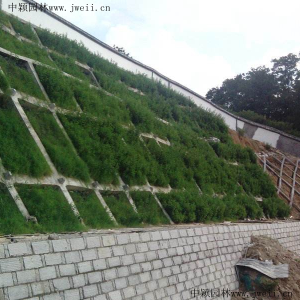 護坡8_副本 (1).jpg