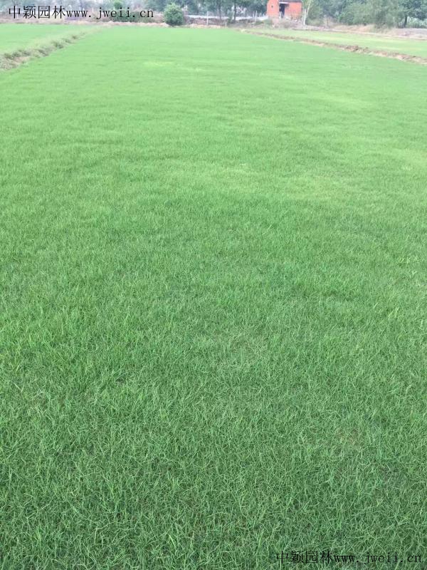 img_0878909090 (2)_副本.jpg