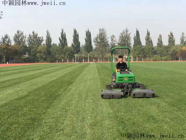 耐踐踏 (2)_副本.jpg