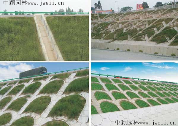 護坡草坪88.jpg