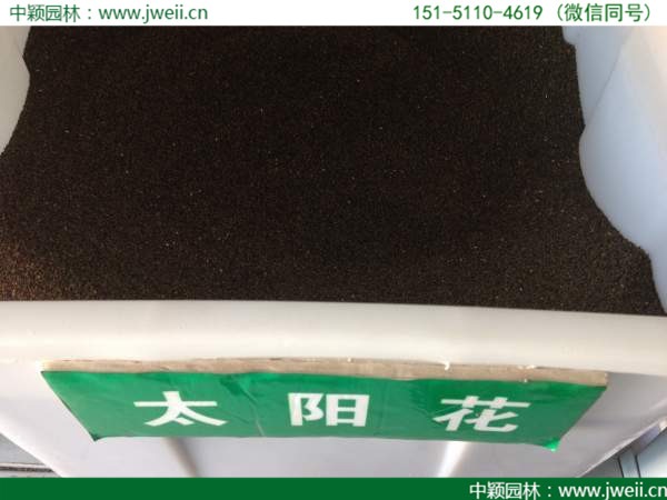 1578281434110368.jpg 21.jpg