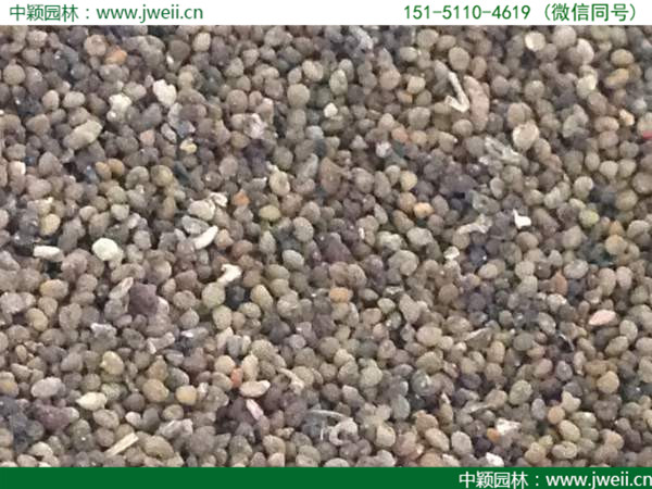 1578285321108100.jpg 22.jpg