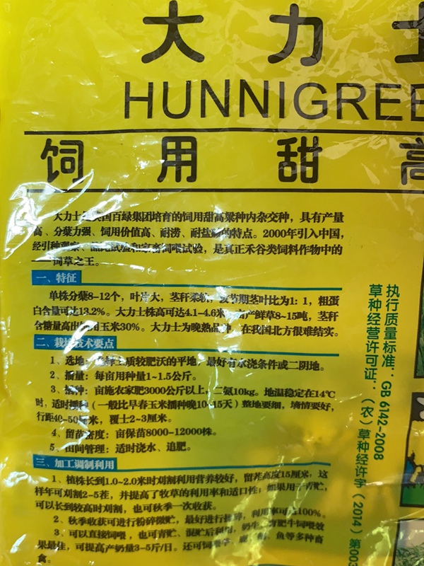 大力士甜高粱種子