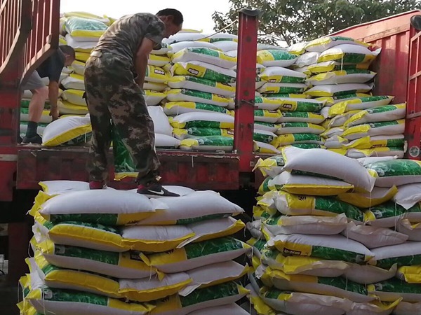 冬牧70種子 冬牧70種子