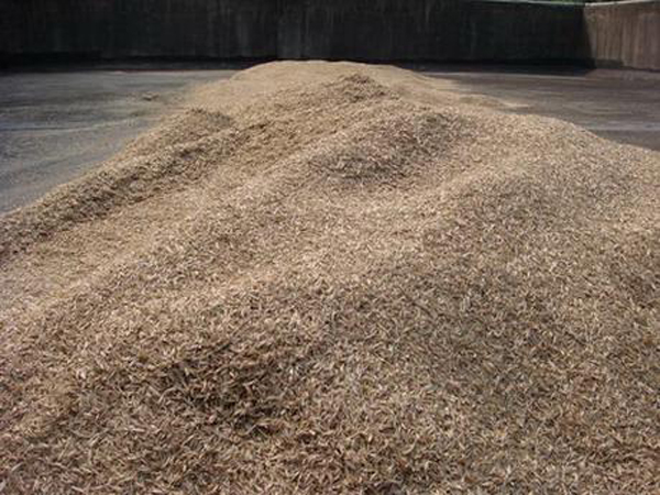 鴨茅草圖片 鴨茅草圖片