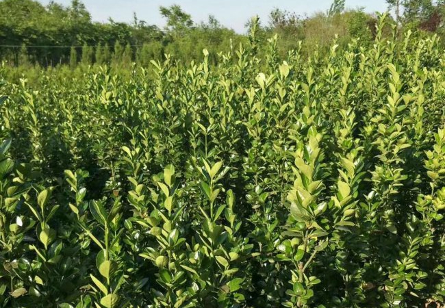 1600958773540418.jpg 1565081839130343.jpg