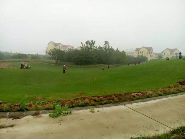 1608796915619768.jpg img_0878909090 (8).jpg