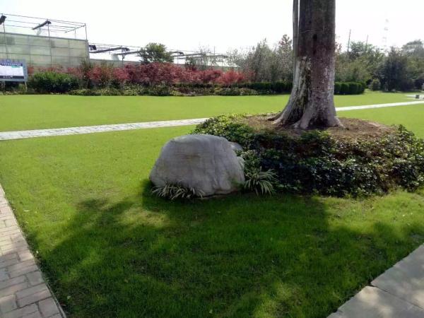 1608796984428822.jpg img_0848.jpg