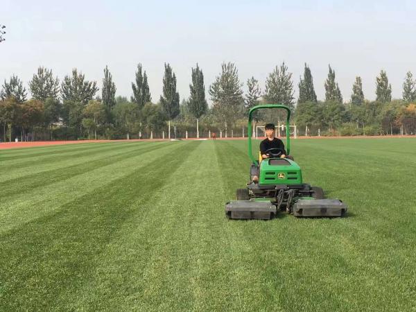 1608797100929483.jpg 耐踐踏 (2).jpg