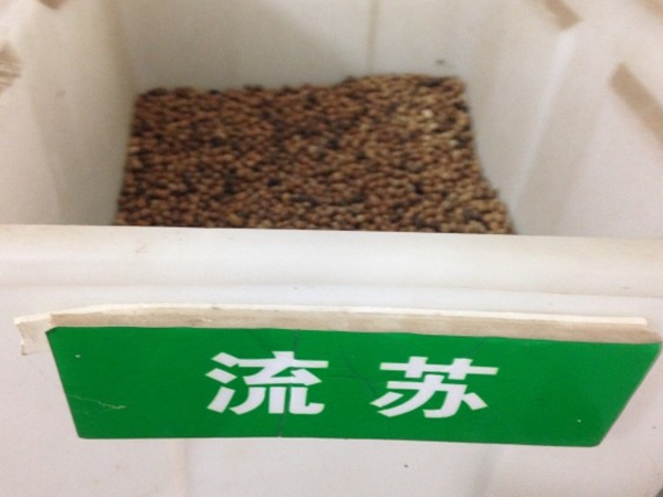流蘇11.jpg