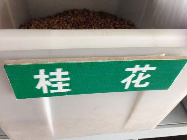 桂花011.jpg
