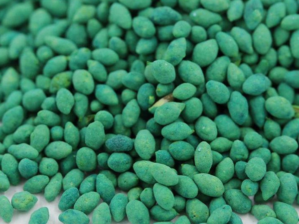 1626493743317238.jpg 早熟禾種子20_副本.jpg