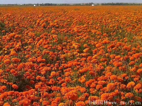 1627559053214298.jpg 微信圖片_20200401204016.jpg