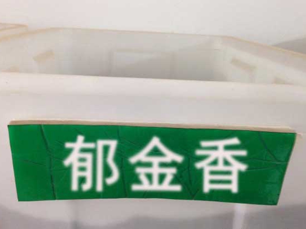 郁金香種子.jpg