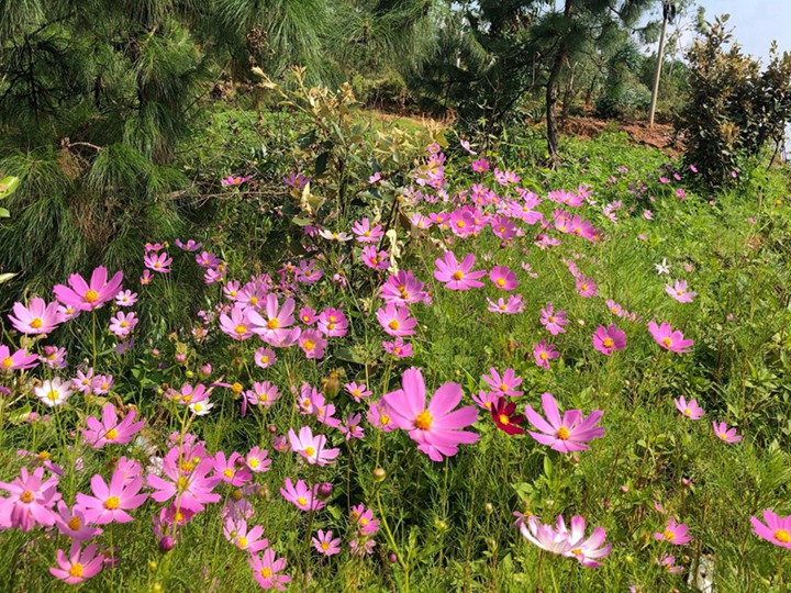 1632264064356712.jpg 2.jpg