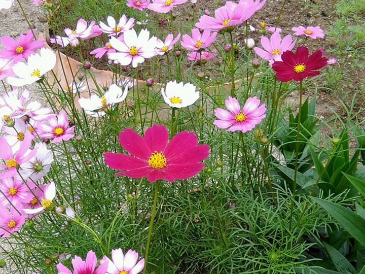 1632264114276602.jpg 7.jpg