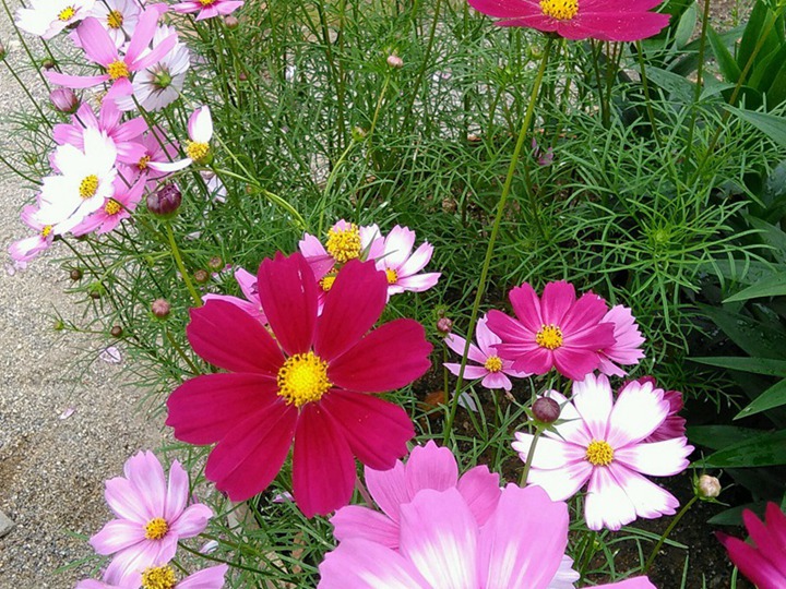 1632264127690570.jpg 8.jpg