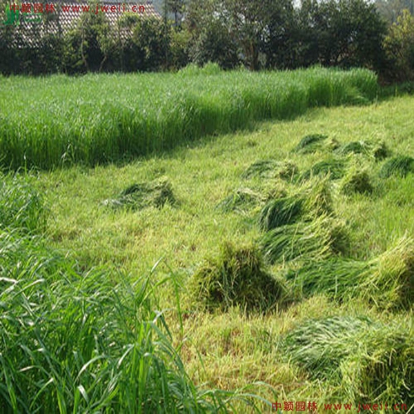 1632527266867716.jpg 2_副本.jpg