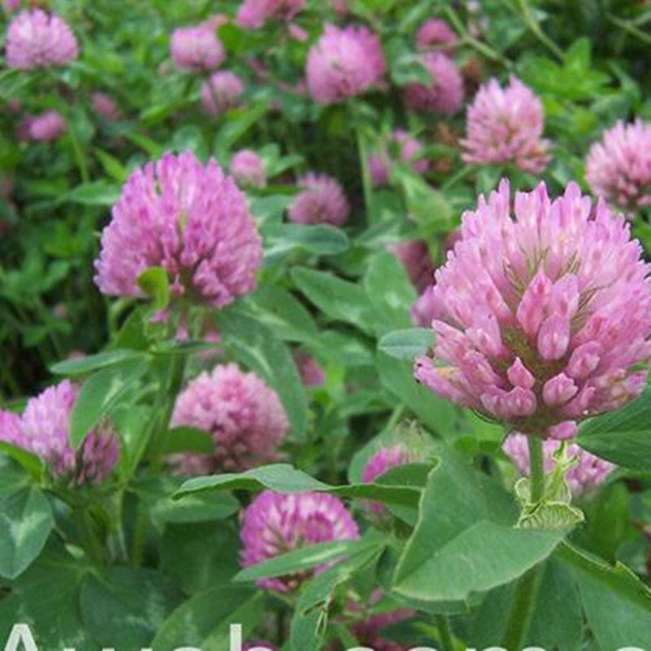 1633784647746494.png 微信圖片_20211009173830.png