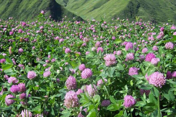 1633784692582256.png 微信圖片_20211009173819.png