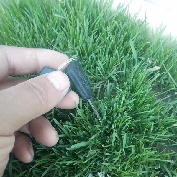 1634462708160726.jpg 馬尼拉.JPG