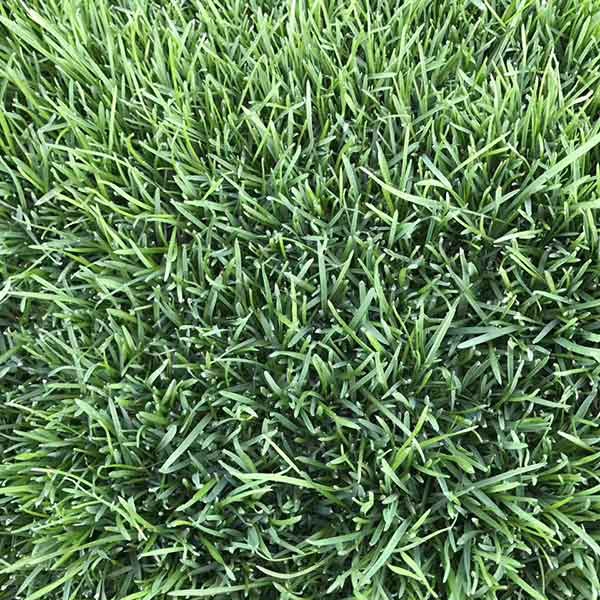 1634463078973545.jpg 馬尼拉11.jpg