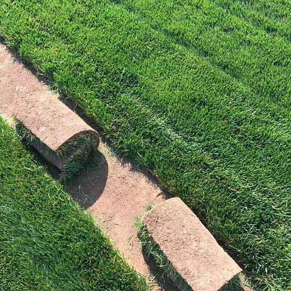 1634463085707983.jpg 馬尼拉12.jpg