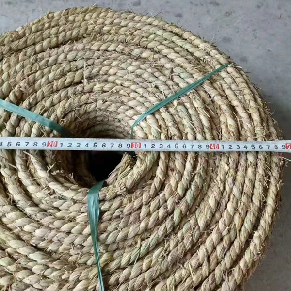 1637923903123535.jpg 草繩10.jpg