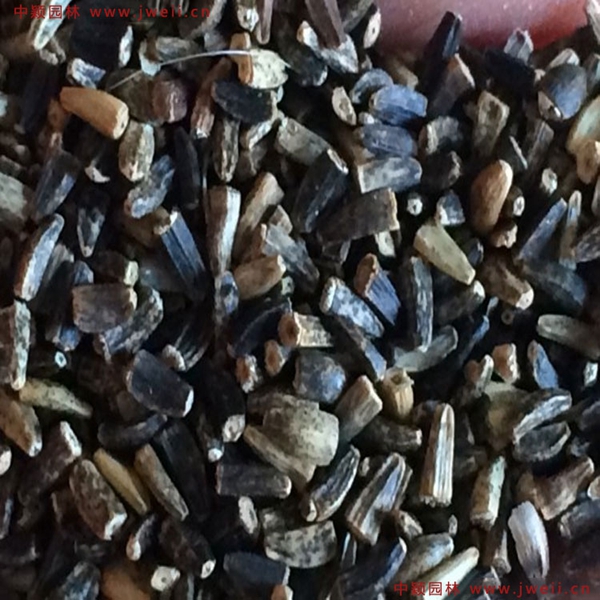 1638929499933740.jpg 10_副本.jpg