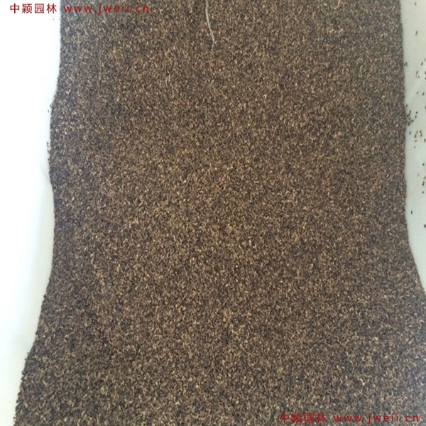 1638929504642705.jpg 9_副本.jpg